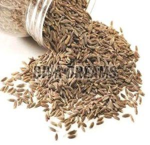 Singapore Cumin Seeds