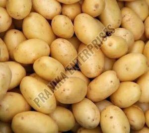 Brown A Grade Fresh Potato