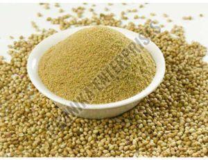 Coriander Powder