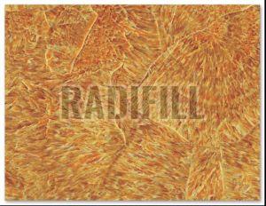 RA8053 PVC Marble Sheet