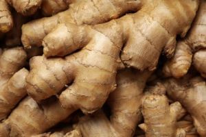 GINGER EXTRACT