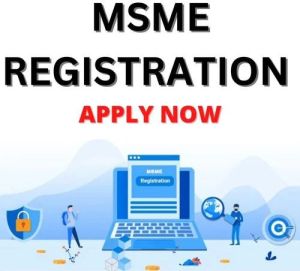 msme registration service