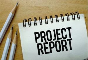 Project Report Service