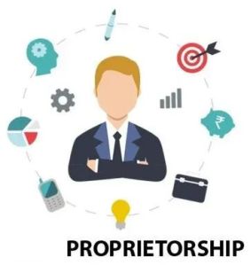 Proprietorship Formation Service