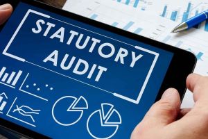 Statutory Audit Service