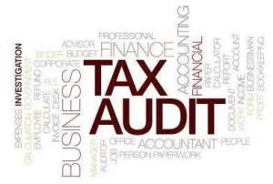 tax audit service