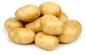 Fresh Natural Potato