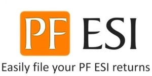 ESI and PF Return Filing Services