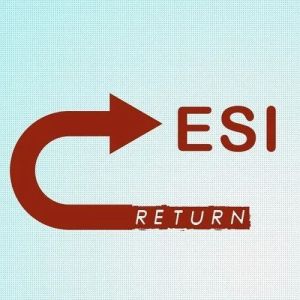 ESI Return Filing Services