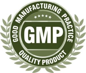 ISO GMP Certification Services