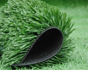 Artificial Grass