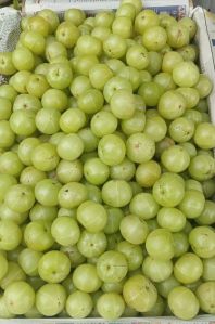 Fresh Gooseberry