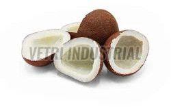 A Grade Dry Coconut Copra