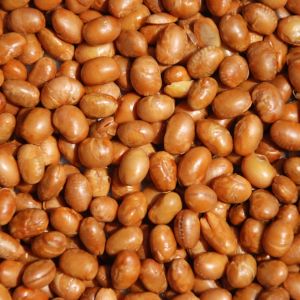 soy nuts