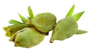 Green Cardamom