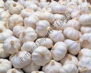 fresh whole garlic