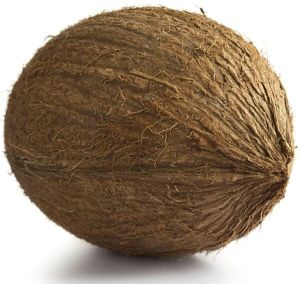 Coconut