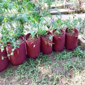 Garden Grow Bags