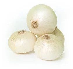 Fresh White Onion