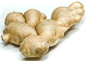 raw fresh ginger