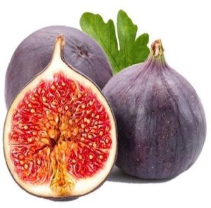 Fresh Fig