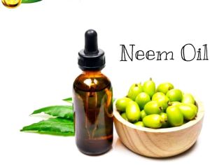 Neem Oil