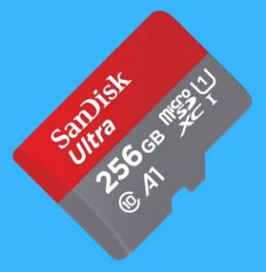 SanDisk Ultra 256 GB Memory Card