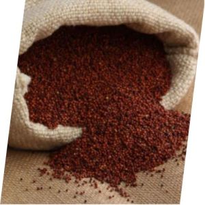 Finger Millet