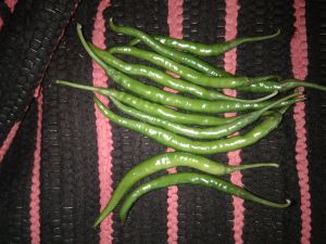 Fresh Green Chilli