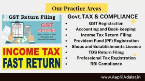 Gst Consultant Service