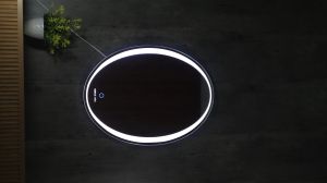 oval shape led mirror