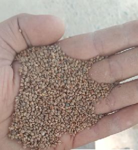 Organic Unpolished Kodo Millet