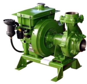 Air Cooled Rotary Pump