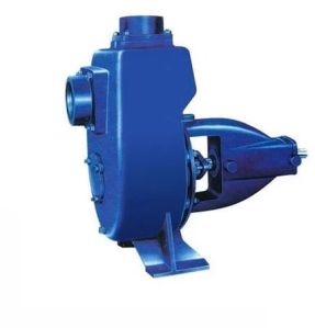 Rotary Monoblock Pump