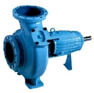 Solid Handling Pump