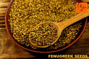 Fenugreek Seed