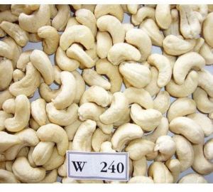 W240 Plain Cashew Nuts