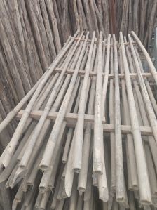 Bamboo Jali