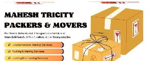 packers movers