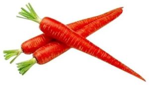 a Grade Red Carrot