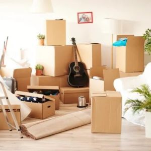 packer & mover services