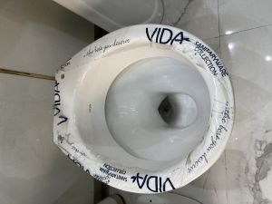 Toilet Seats