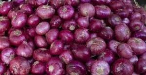 Red Onion