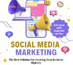 Social Media Optimization Services