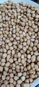 Groundnut Seeds