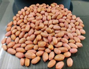 Java Peanuts