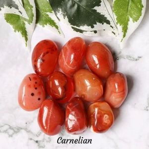 Natural Red Carnelian Tumbled Stone