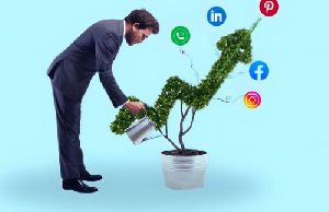 Social Media Optimization Services