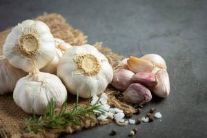 Organic Garlic