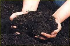 Vermicompost Fertilizer